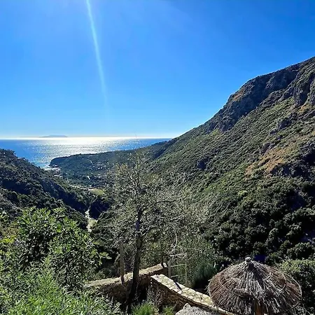 Villa Vista Del Mar Mansion