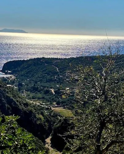 빌라 Vista Del Mar Mansion